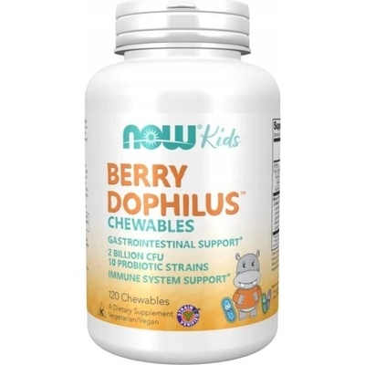 Now Foods BerryDophilus probiotika s příchutí lesních plodů 120 ks