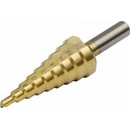 Dedra WMST0420