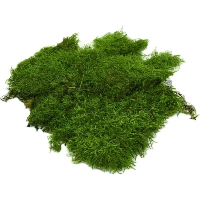 Stabilizovaný plochý mach - zelený Váha: 3kg