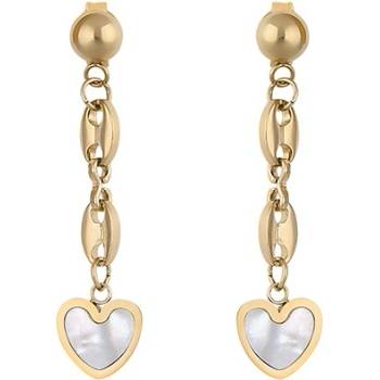 Image 1 of Daniel Klein Дамски обеци Daniel Klein DKJ. 3.5013-2 (DKJ.3.5013-2)