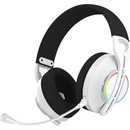 Image 1 of Blackfire 5033783