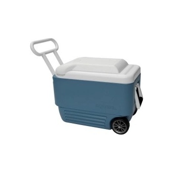 Igloo MAXCOLD 40