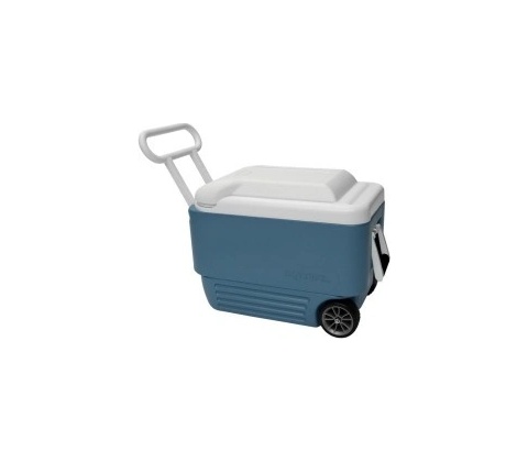 Igloo MAXCOLD 40