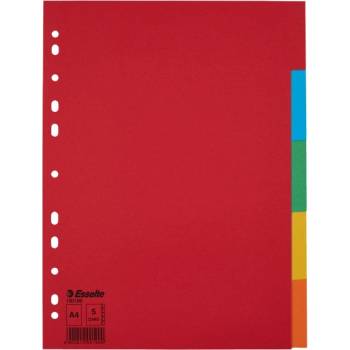 ESSELTE Регистър, картон, А4, 5 части, ESSELTE "Economy", цвят 100199 (100199)