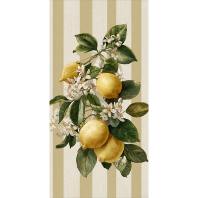 Takoy Panel na ušití rychleschnoucí osušky 80x160 citrony béžové retro