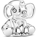 Pandora 799088C00