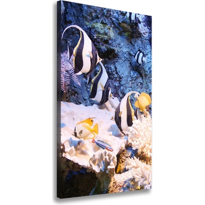 Vertikálny foto obraz na plátne Koralový útes 50x100 cm