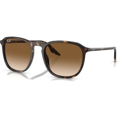 Ray-Ban RB2203 902/51