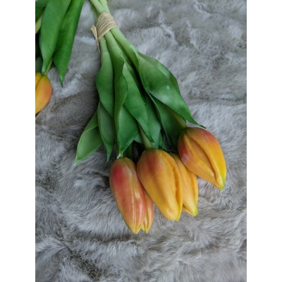 Zväzok tulipánov Prémium 5x 28cm oranžový