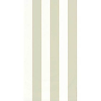 Caselio 101077036 Vliesová tapeta na zeď BASICS rozměry 0,53 x 10,05 m