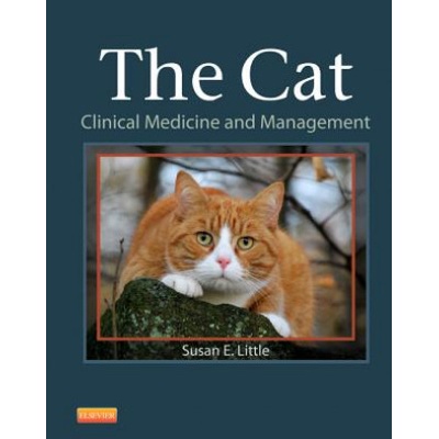 Cat: Clinical Medicine and Management - Little, S.