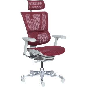  Ергономичен стол ergohuman ioo elite 2 - сива рамка - червен
