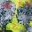 Arthur Buck - Arthur Buck 2 (LP) (0020286246091)