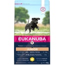 Eukanuba Junior Large 3 kg