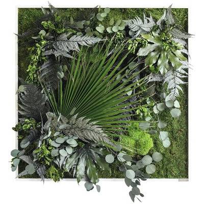 Obraz z rastlín styleGREEN Džungľa 80x80 cm
