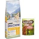 Purina Dog Chow Complet & Classic s kuřetem 14 kg