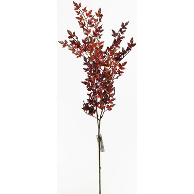 KS LISTY BORDOVÉ 80CM