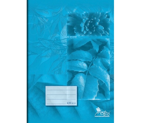 Notes Sešit ECO 420