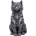 Nemesis Now Статуетка Nemesis Now Adult: Gothic - Hexbound Familiar (Silver), 23 cm (U7570B26)