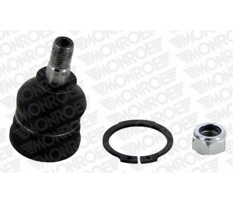 MOZ-L50552
