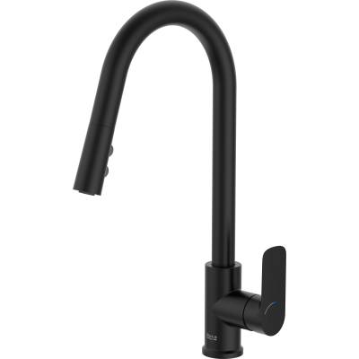 Стоящ смесител за кухня, Roca, A5A816ENB0, с въртящ, изваждащ се чучур с 2 функции (A5A816ENB0)