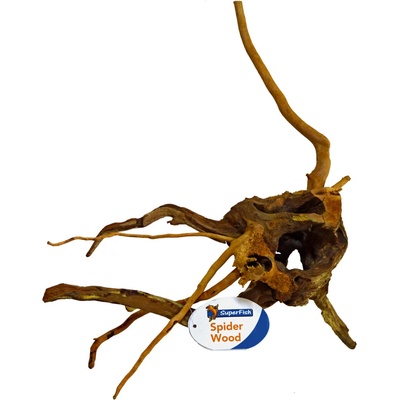 BioArt Spider Wood S 20-30 cm