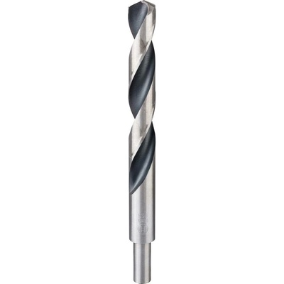 Bosch 2608577313