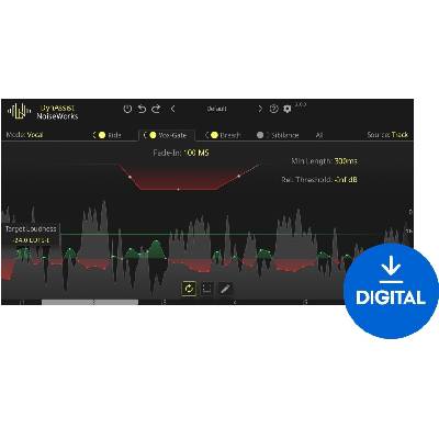 NoiseWorks DynAssist (Дигитален продукт)