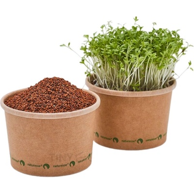 TINY GREENS Žerucha - BIO semienka na klíčenie a microgreens