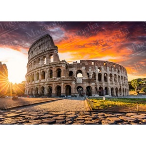 Magnolia - Puzzle Rome - 1 000 piese