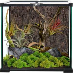 Reptiplanet REPTI PLANET стъклен терариум 30×30x30 см, Чехия 007-60170