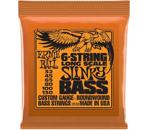 Ernie Ball 2838