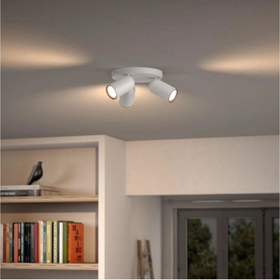 Philips 50583/31/PN
