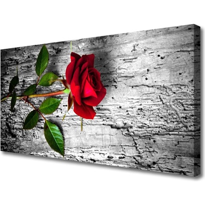 Obraz Canvas Ruže kvet rastlina 100x50 cm