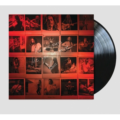 CORNELL, CHRIS - NO ONE SINGS LIKE YOU ANYMORE LP