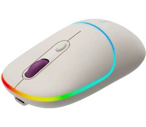 Canyon CNS-CMSW22RC