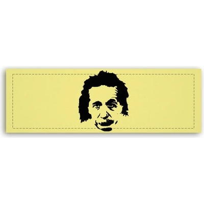 Fotoobraz 150x55 cm panorama Einstein