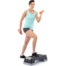 TRINFIT Step