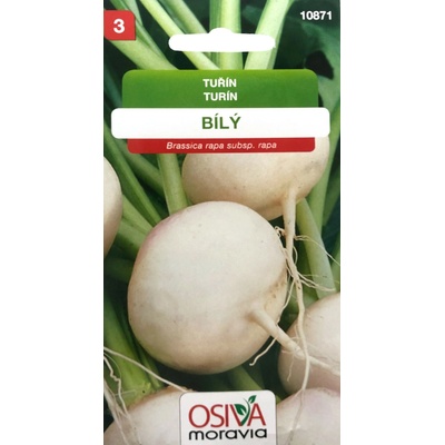KVAKA biela Turín