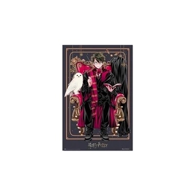 Plagát Harry Potter: Harry (61 x 91,5 cm) 150g