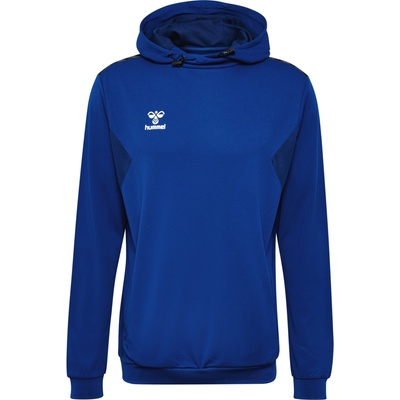Hummel HML Authentic Pl Hoodie 219976-7045