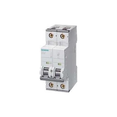 Siemens 5SY4202-8