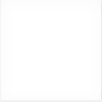 Fabriano Картон Elle Erre, 70 x 100 cm, 220 g/m2, № 100, бял (1535180501)