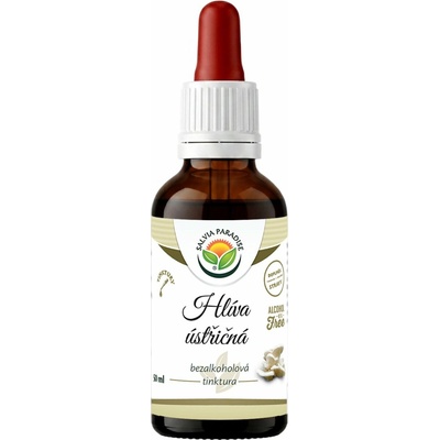 Salvia Paradise Hlíva ústřičná AF tinktura 50 ml