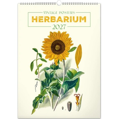 NOTIQUE Nástenný Vintage plagáty herbár 33 x 46 cm 2027