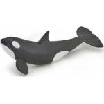 Papo Mloda orca