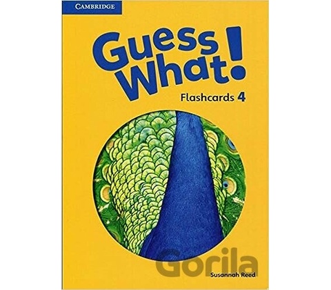 Guess What! Level 4 Flashcards (88)