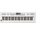 Roland GO:KEYS 5