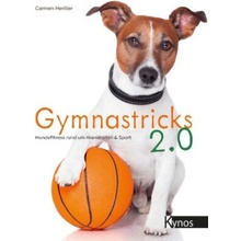 Gymnastricks 2.0