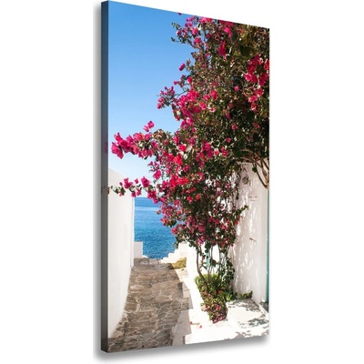 Vertikálny foto obraz na plátne Grécke ulice 50x100 cm